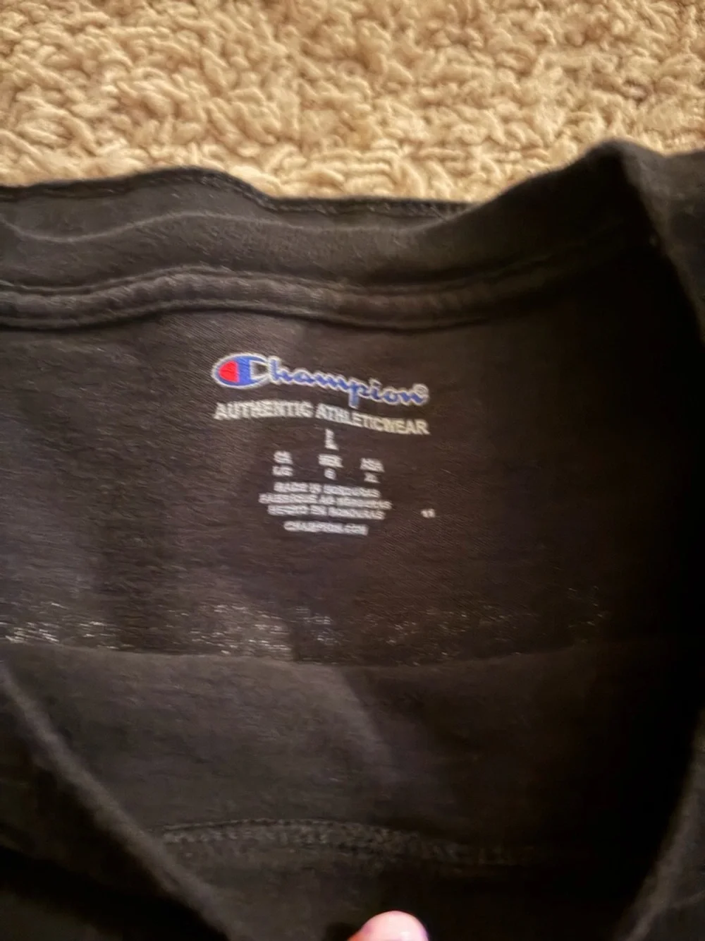 Champion Black Crewneck with Embroidered Blue and Red Logo - Picture 2 of 3